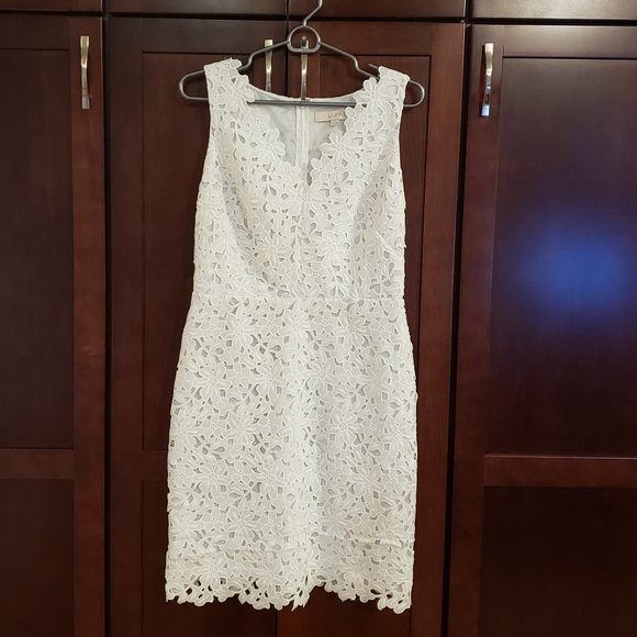 LOFT Dresses & Skirts - EUC Ann Taylor Loft White Fitted Dress With Flowers Size 6